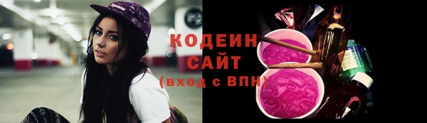 шишки Елабуга