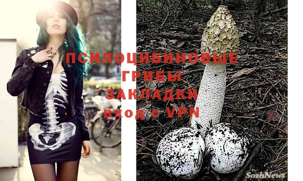 ECSTASY Абинск