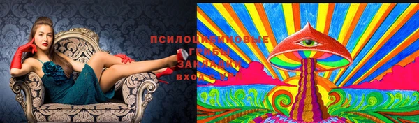гидропоника Абдулино