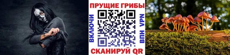 Псилоцибиновые грибы Psilocybine cubensis Богданович