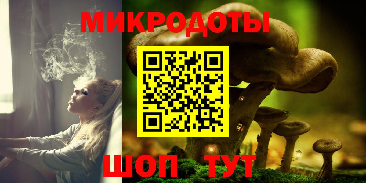 Галлюциногенные грибы Psilocybine cubensis Богданович