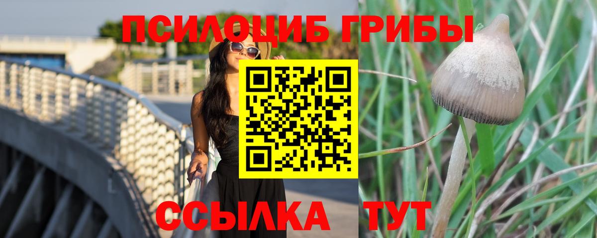 Псилоцибиновые грибы GOLDEN TEACHER  Вход с VPN  цены наркотик  Богданович 