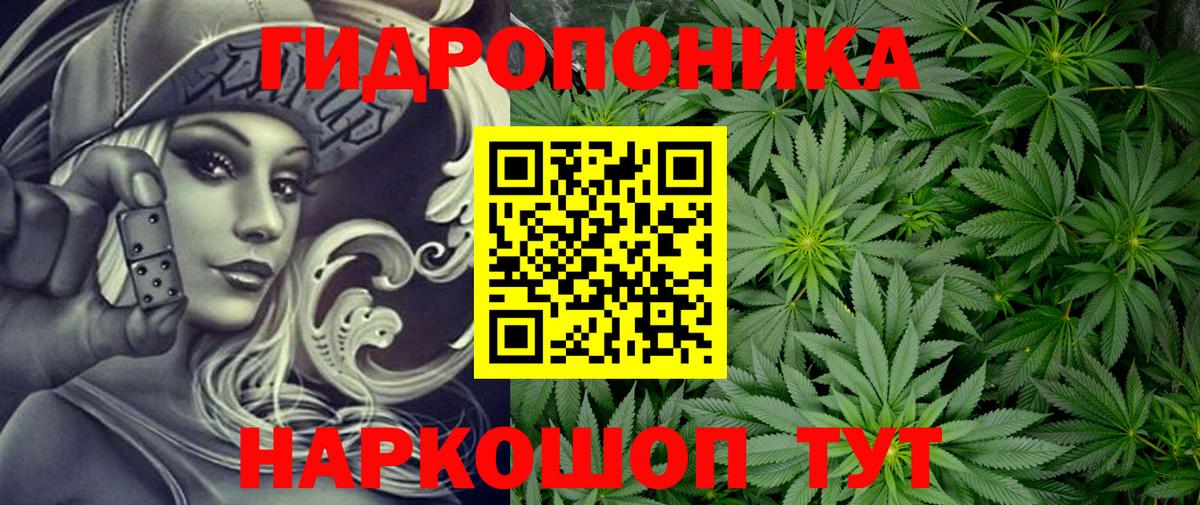 Канабис ГИДРОПОН Богданович